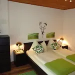 Apartment Alpina Appartements Mallnitz