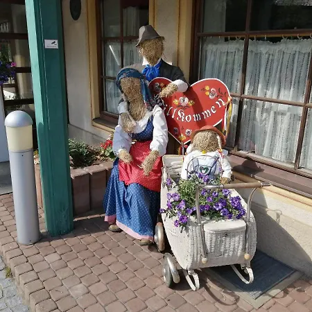 Daire Alpina Mallnitz