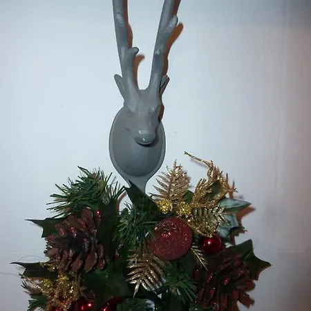 Alpina Daire Mallnitz